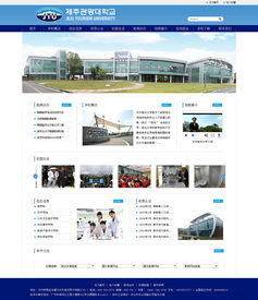 網站設計與微信第三方程序開發 打造無縫互聯的數字體驗